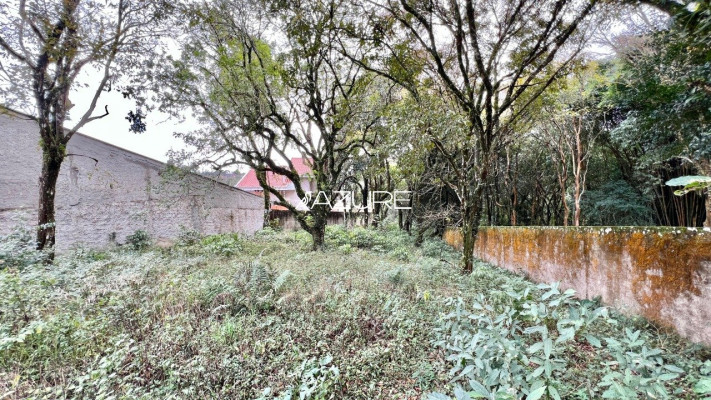 Terreno à venda no bairro São Lourenço