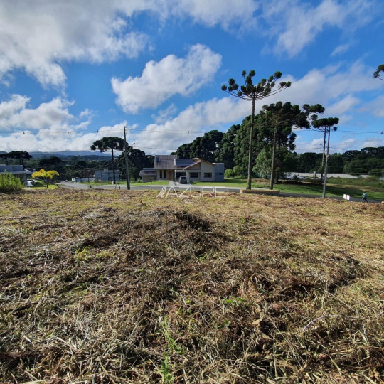 Terreno em condomínio fechado em Piraquara.