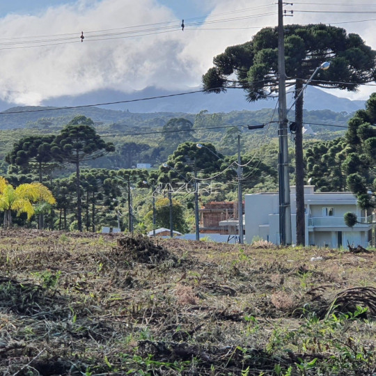 Terreno em condomínio fechado em Piraquara.