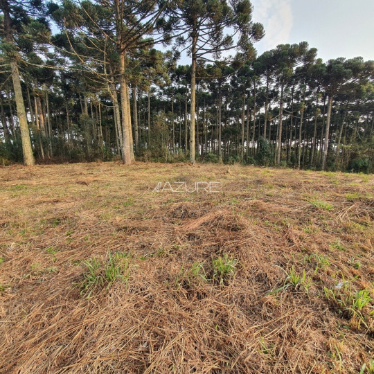 Terreno em condomínio fechado em Piraquara.