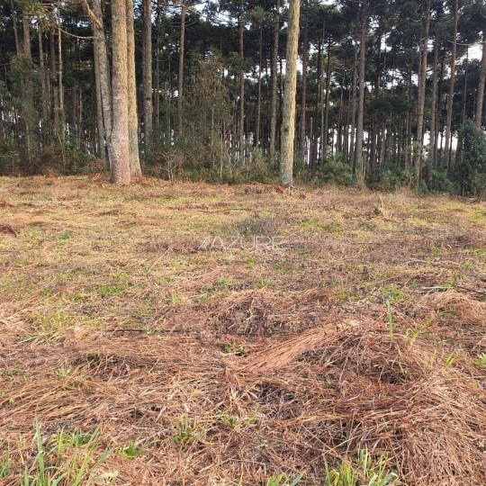 Terreno em condomínio fechado em Piraquara.