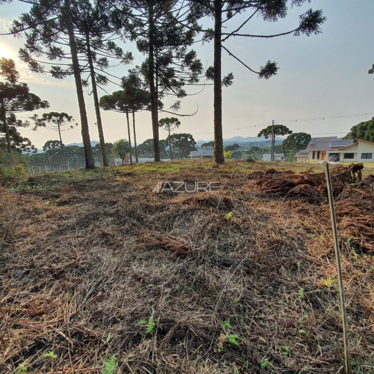 Terreno em condomínio fechado em Piraquara.