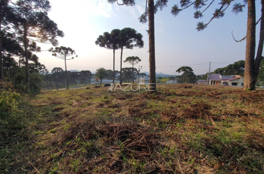 Terreno em condomínio fechado em Piraquara.