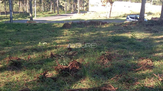 Terreno em condomínio fechado em Piraquara.